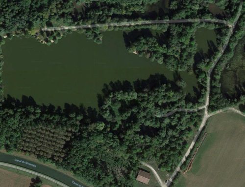 Etang de Vincelles