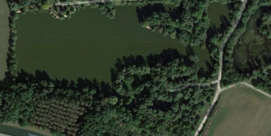 Etang de Vincelles